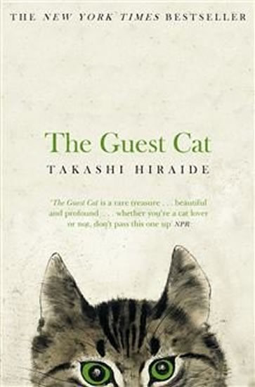 Obrázok The Guest Cat