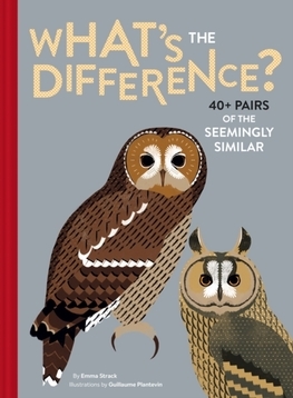 Obrázok Whats the Difference