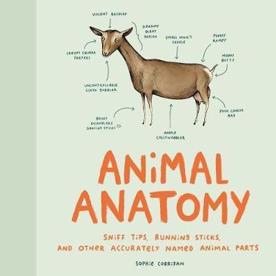 Obrázok Accurate Animal Anatomy