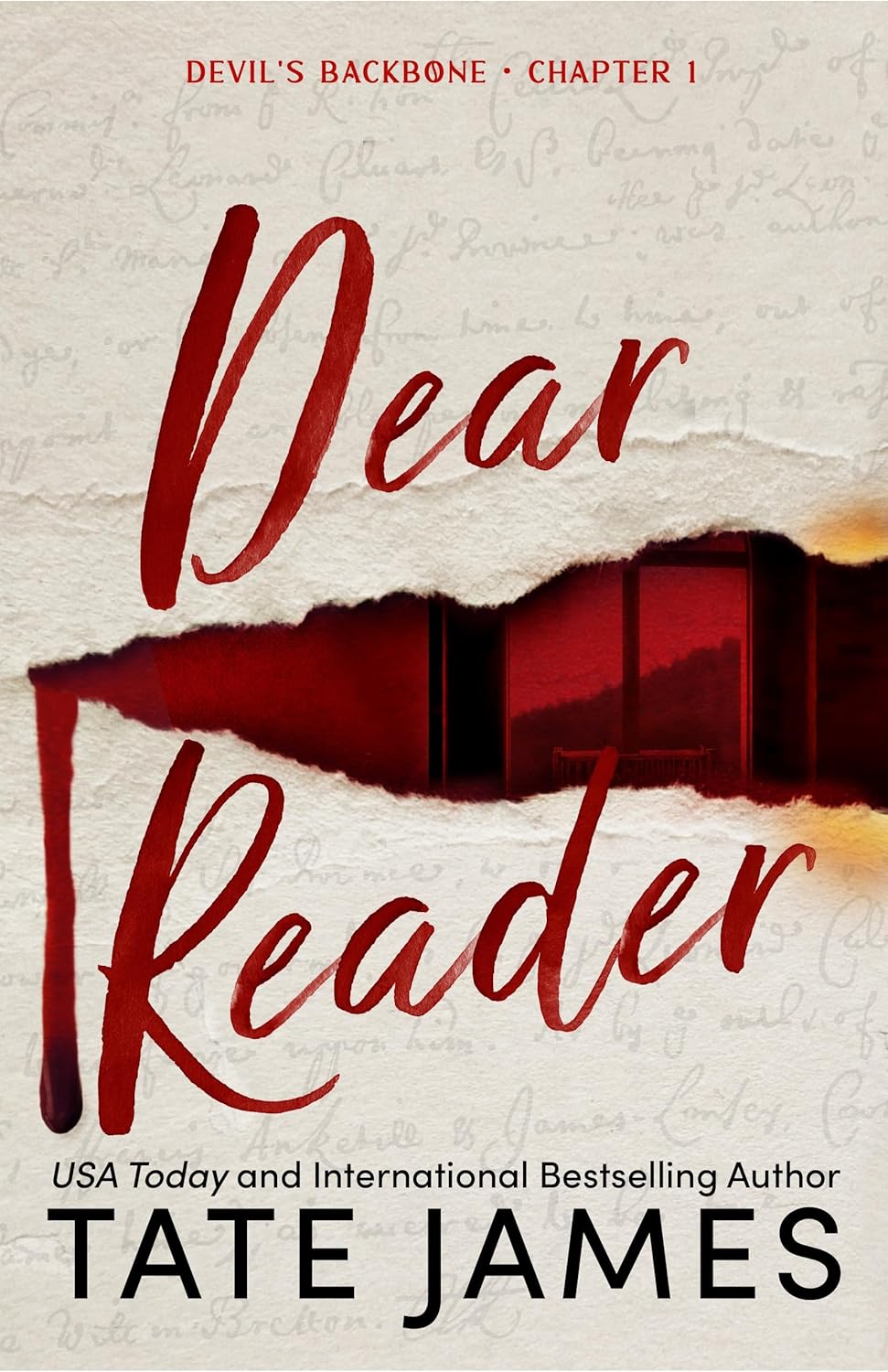 Obrázok Dear Reader