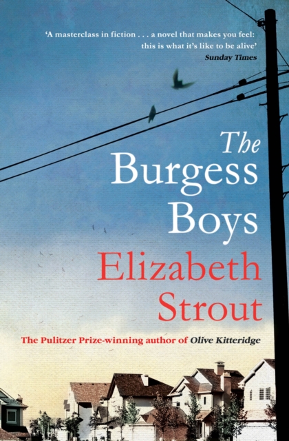 Obrázok The Burgess Boys