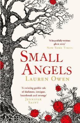 Obrázok Small Angels: ´A twisting gothic tale of darkness, intrigue, heartbreak and revenge´ Jennifer Saint