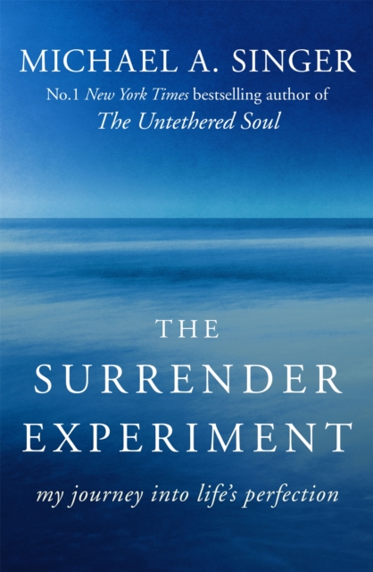 Obrázok The Surrender Experiment