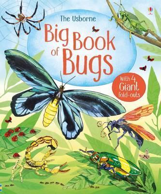 Obrázok Big Book Of Bugs