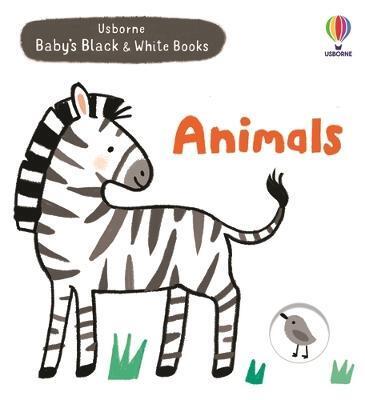 Obrázok Animals