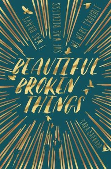 Obrázok Beautiful Broken Things