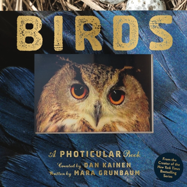 Obrázok Birds