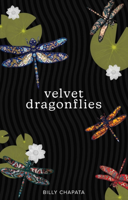Obrázok Velvet Dragonflies