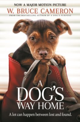 Obrázok A Dog´s Way Home : The Heartwarming Story of the Special Bond Between Man and Dog
