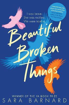 Obrázok Beautiful Broken Things
