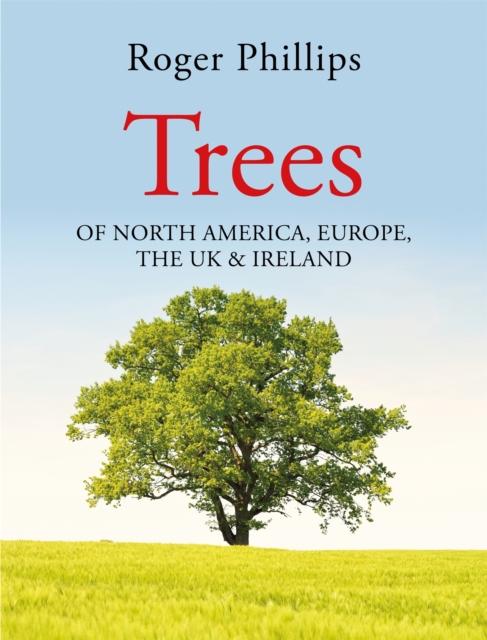 Obrázok Trees