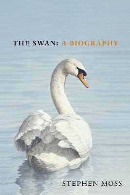 Obrázok The Swan