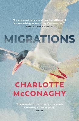 Obrázok Migrations