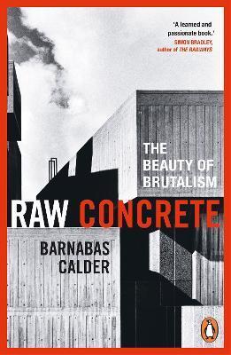 Obrázok Raw Concrete