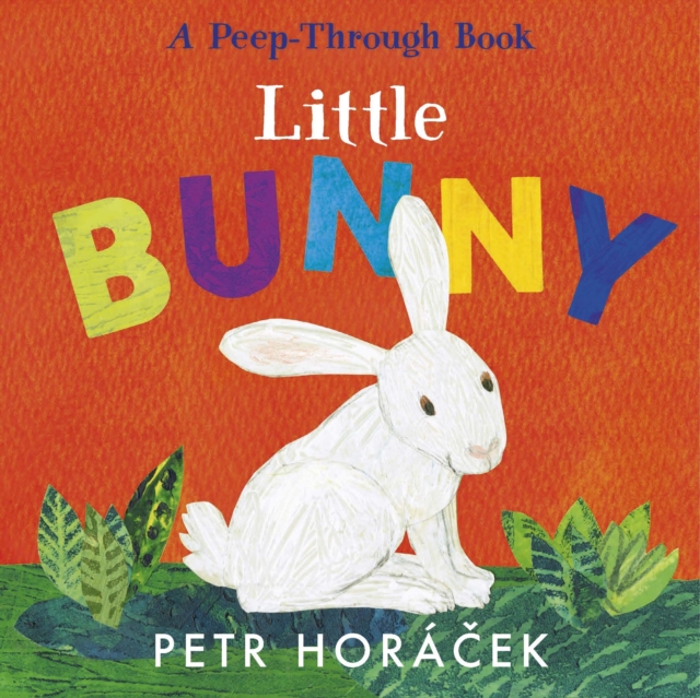 Obrázok Little Bunny