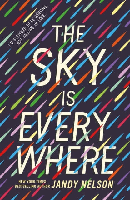Obrázok The Sky Is Everywhere