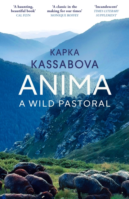Obrázok Anima