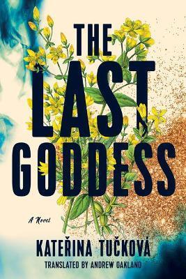 Obrázok The Last Goddess: A Novel