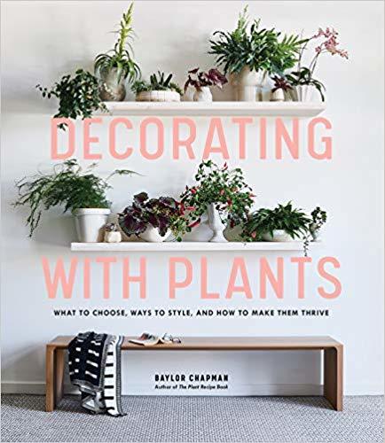 Obrázok Decorating with Plants