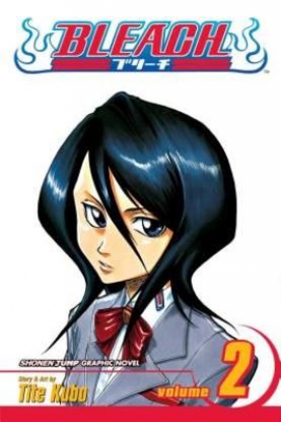 Obrázok Bleach 2