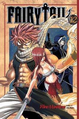 Obrázok Fairy Tail 12