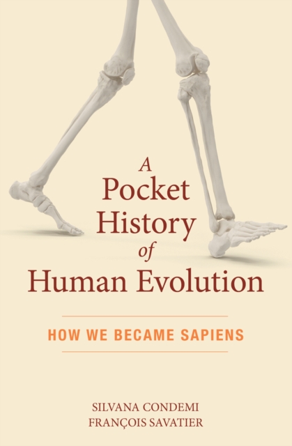 Obrázok A Pocket History of Human Evolution