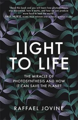 Obrázok Light to Life
