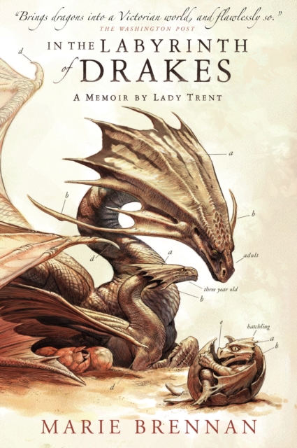 Obrázok In the Labyrinth of Drakes
