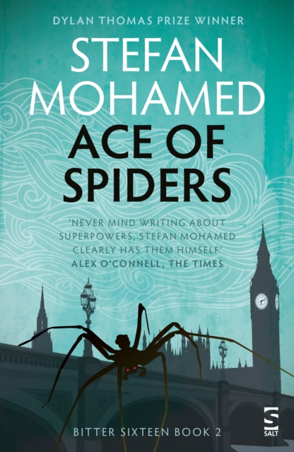 Obrázok Ace of Spiders