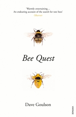 Obrázok Bee Quest