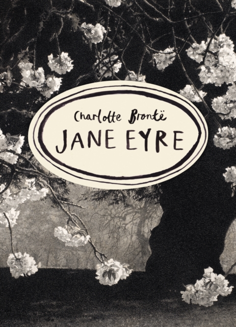 Obrázok Jane Eyre (Vintage Classics Bronte Series)