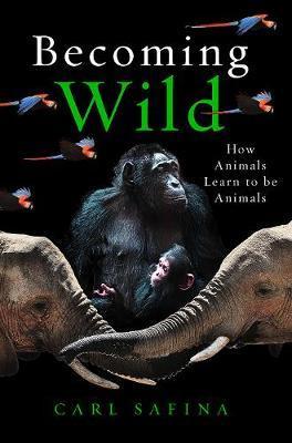 Obrázok Becoming Wild : How Animals Learn to be Animals