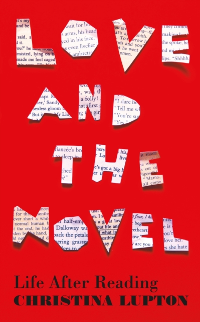 Obrázok Love and the Novel
