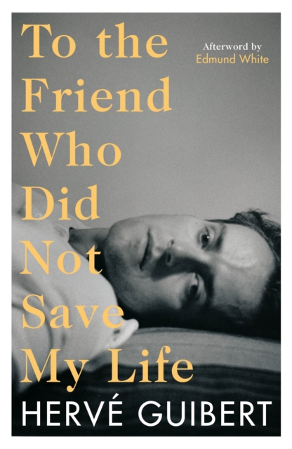Obrázok To the Friend Who Did Not Save My Life