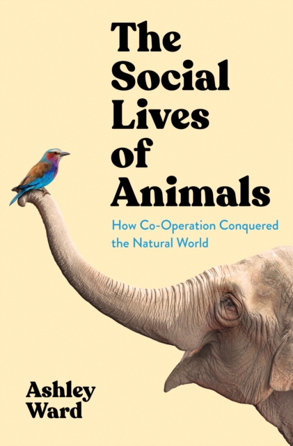 Obrázok The Social Lives of Animals