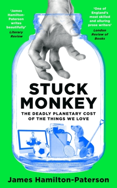 Obrázok Stuck Monkey