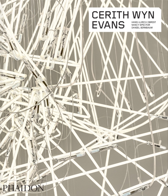 Obrázok Cerith Wyn Evans