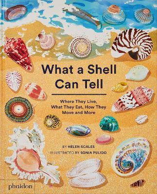 Obrázok What A Shell Can Tell