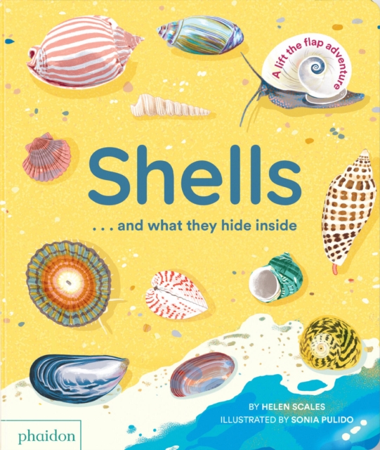 Obrázok Shells... and what they hide inside