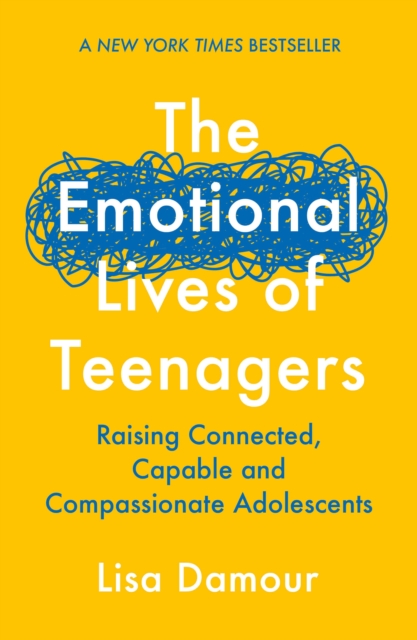 Obrázok The Emotional Lives of Teenagers