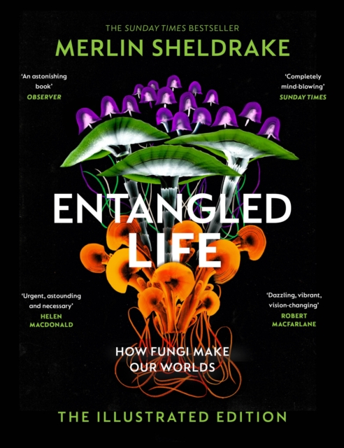 Obrázok Entangled Life