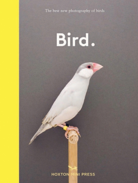 Obrázok Bird.
