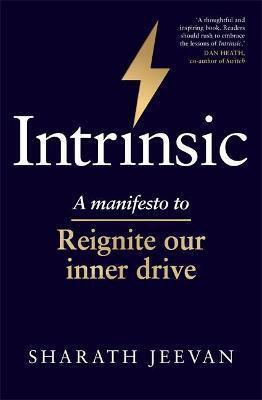 Obrázok Intrinsic : A manifesto to reignite our inner drive