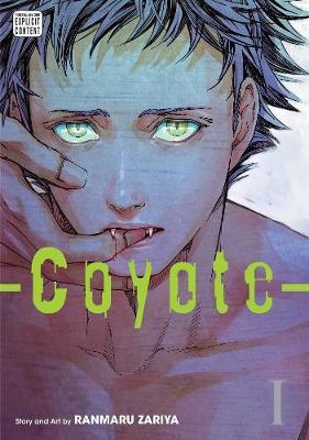 Obrázok Coyote 1