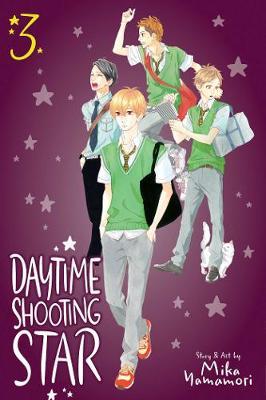 Obrázok Daytime Shooting Star 3