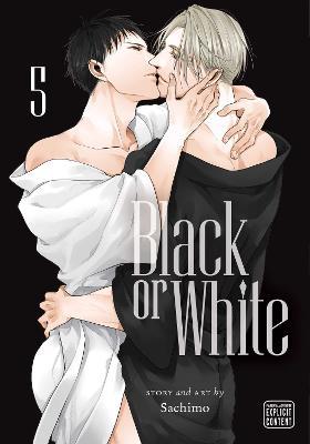 Obrázok Black or White 5