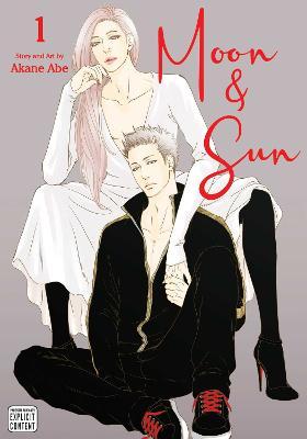 Obrázok Moon & Sun 1