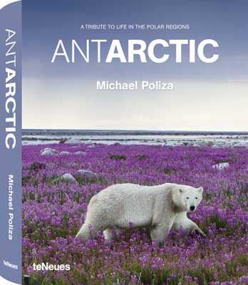 Obrázok Antarctic Poliza