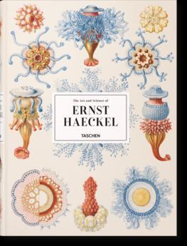 Obrázok Haeckel