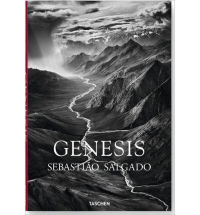 Obrázok Salgado, Genesis